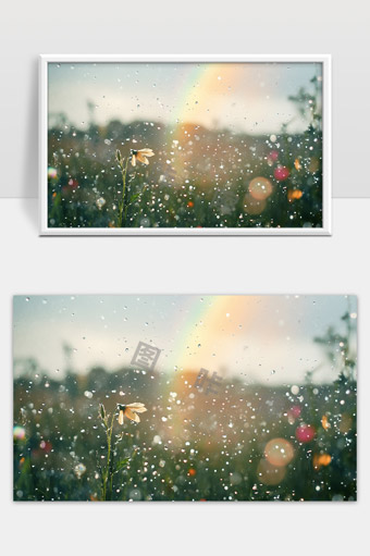 雨中花朵绽放美丽阳光穿透水珠闪耀自然风光