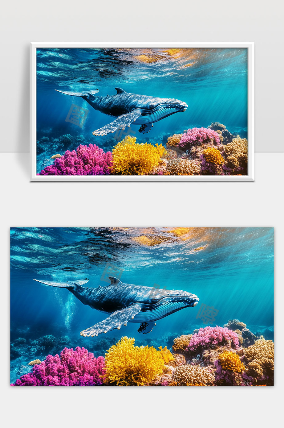 蔚蓝海底巨鲸畅游五彩斑斓珊瑚花园