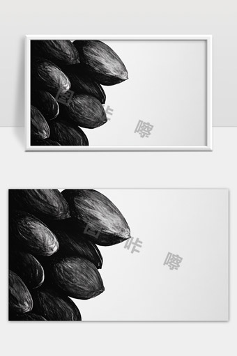 黑白风格坚果特写展示自然质感与细节纹理