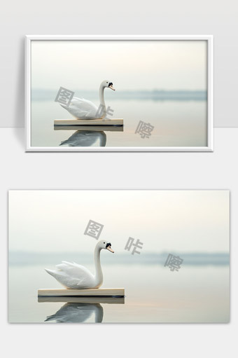 宁静湖面上的白天鹅和倒影美丽景色