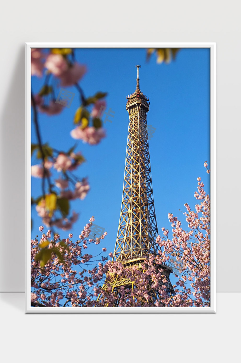 春天樱花映衬下的巴黎埃菲尔铁塔美景