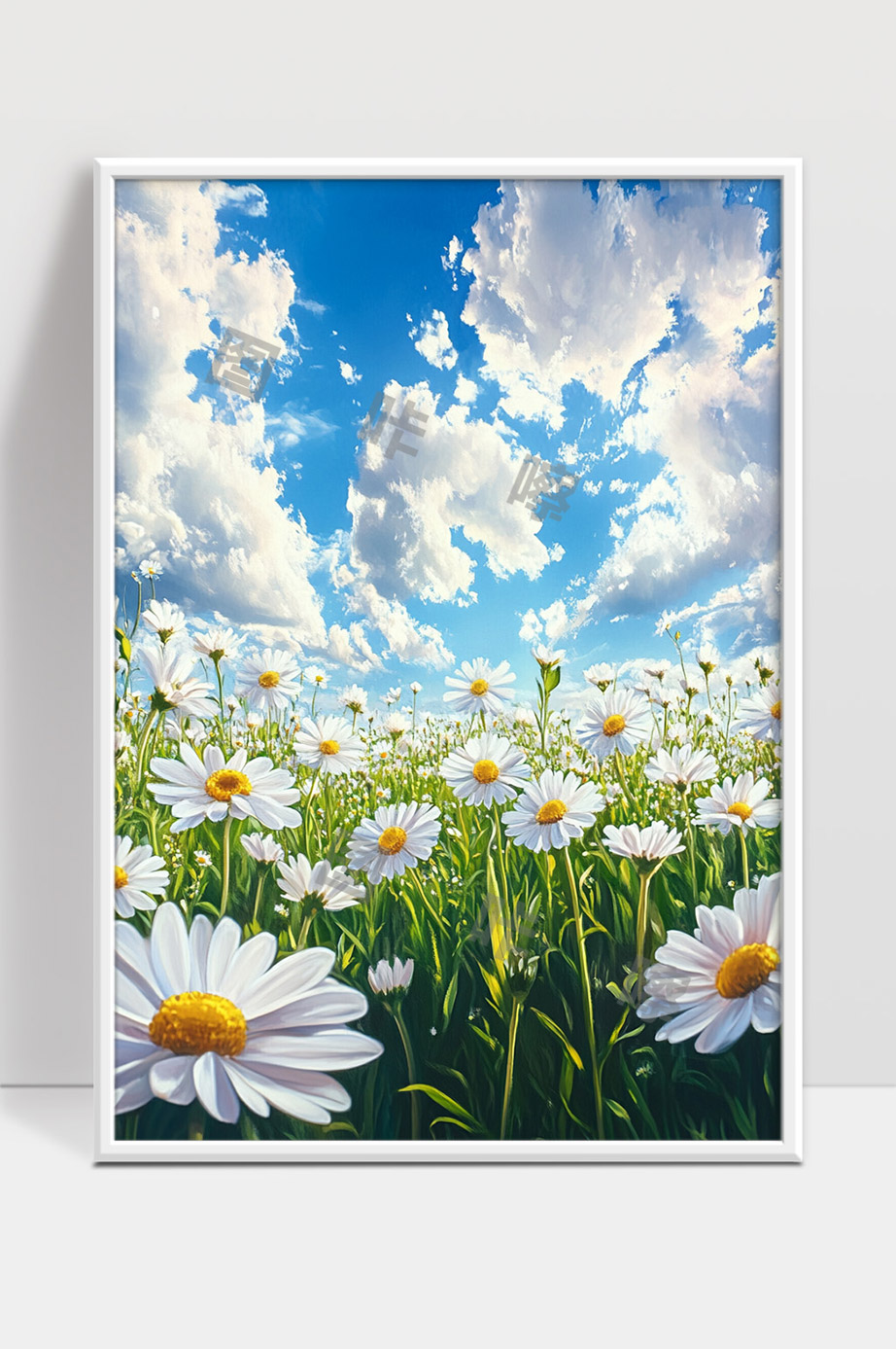 蓝天白云下盛开的雏菊花海清新自然风光