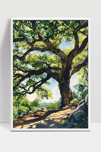 阳光洒落古树下的宁静自然风光