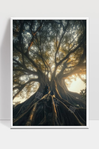 古树下的探索者光影交织的神秘森林之旅