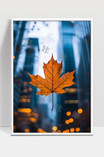 秋天枫叶在城市高楼间飘落的唯美瞬间