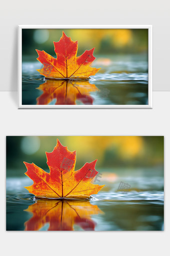 秋日红枫叶水中倒影静谧自然风光美景